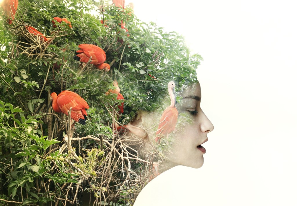 20760219 - artistic surreal female profile in a metamorphosis with nature